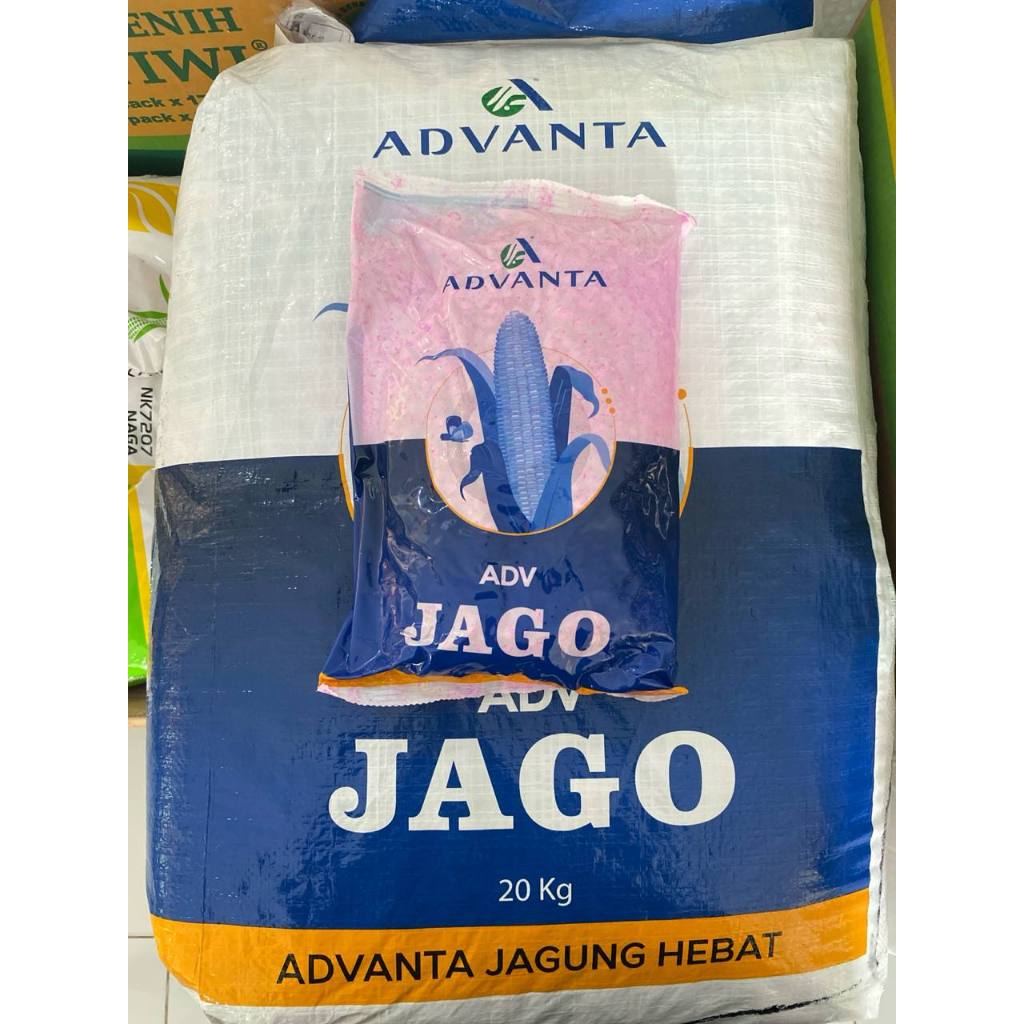 Benih Jagung ADV JAGO 1KG - Cap Benih Advanta ( Jagung JAGO )