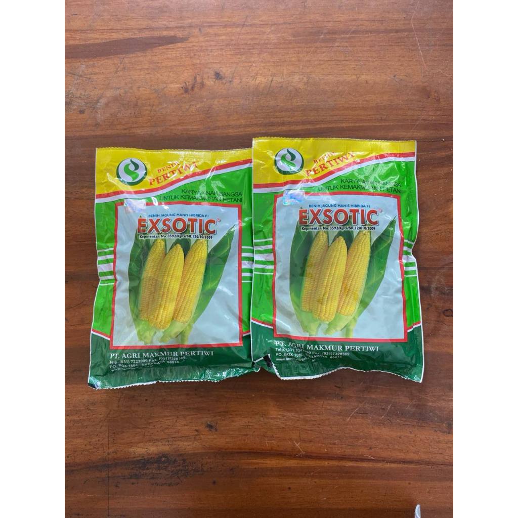 Benih Jagung Manis Exsotic Biji Original Bibit Jagung Hibrida Benih Jagung Manis Pertiwi