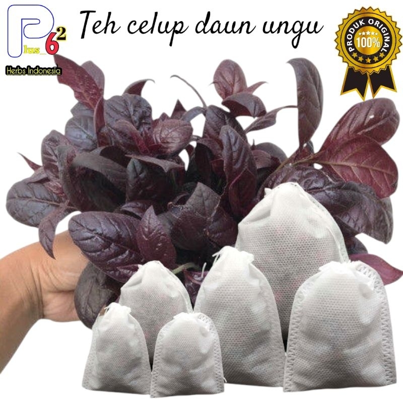 

Teh obat wasir/ambeien teh kantong celup daun ungu kemasan hemat