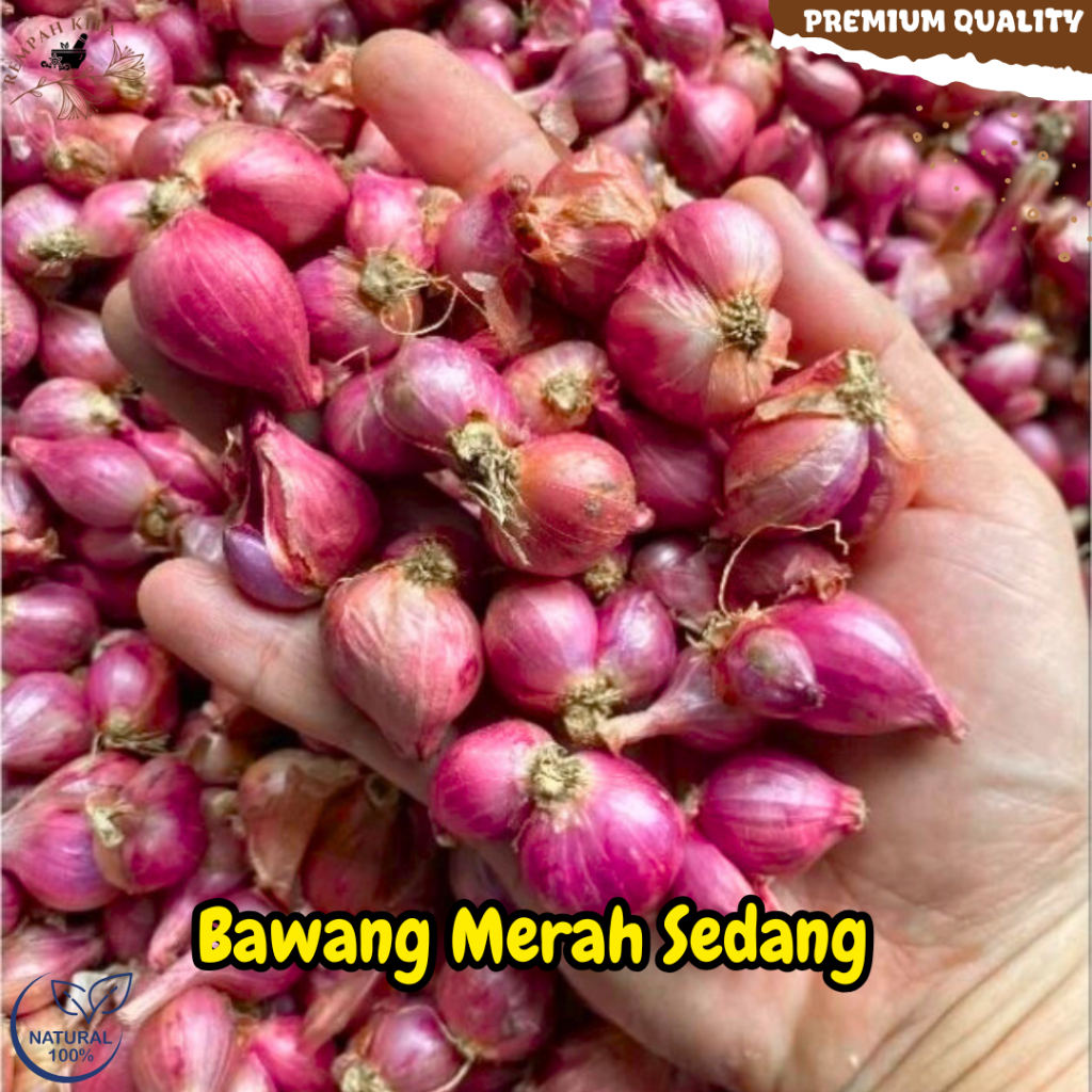 

Bawang Merah Murah Hemat Sedang Kecil 1KG Fresh Segar Bersih