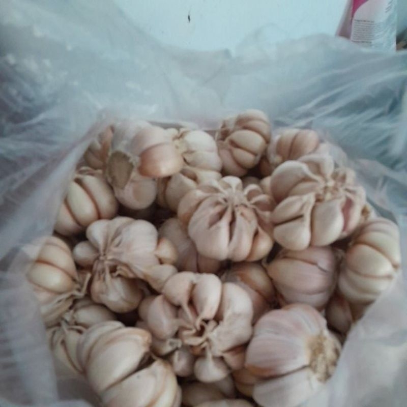 

bawang putih