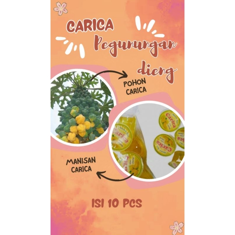 

Manisan carica isi 10pcs asli Wonosobo