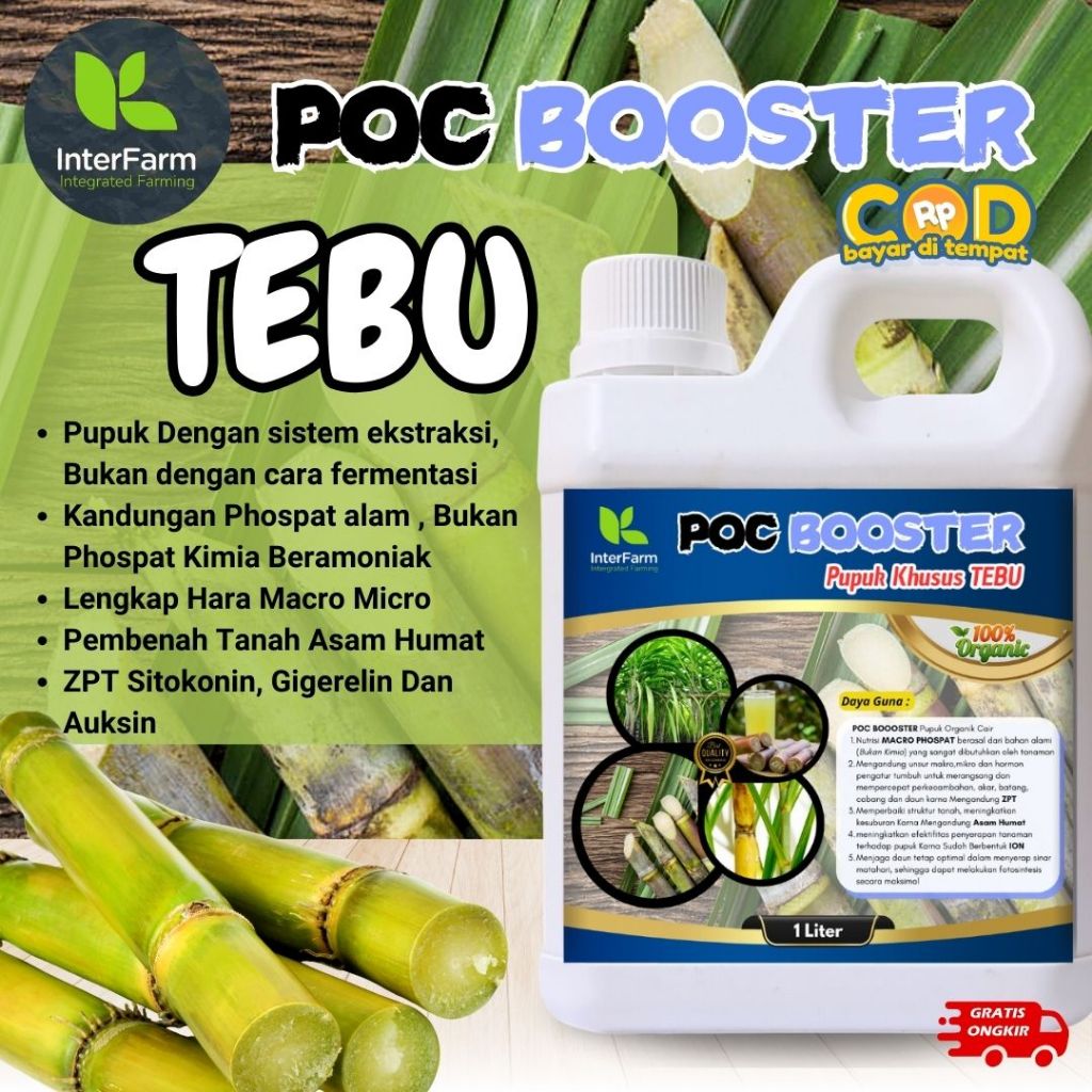 Pupuk pelebat buah tebu , Pupuk untuk tanaman tebu, Pupuk cair organik untuk tebu, Pupuk INTERFARM