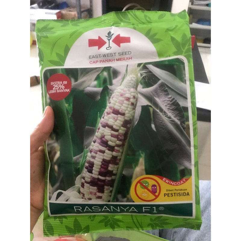 Benih jagung RASANYA F1 1800 butir jagung putih merah pulut manis dari panah merah