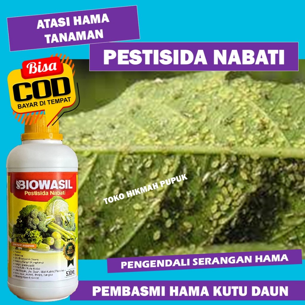 PESTISIDA NABATI BIOWASIL PEMBASMI KUTU DAUN PALING AMPUH - Pestisida Organik Membasmi Hama Kutu Dau
