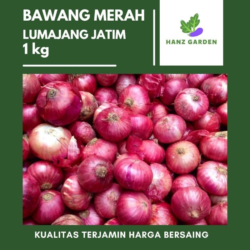 

BAWANG MERAH LUMAJANG