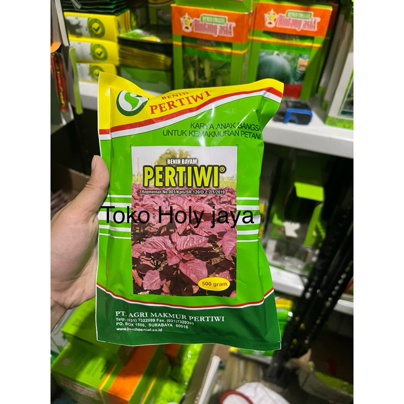 ( 500 gram ) Benih bayam merah PERTIWI 500 gram bibit bayam merah berkualitas dari benih pertiwi