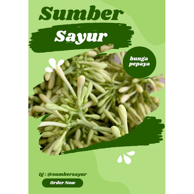 

bunga pepaya sumber sayur segar murah Makassar