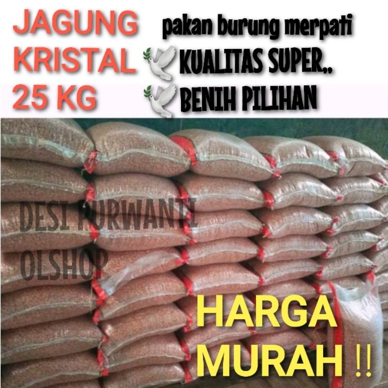 JAGUNG KRISTAL PAKAN MERPATI 25 KG