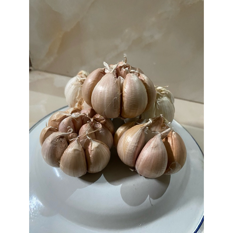 

bawang putih kemasan 1/2kg