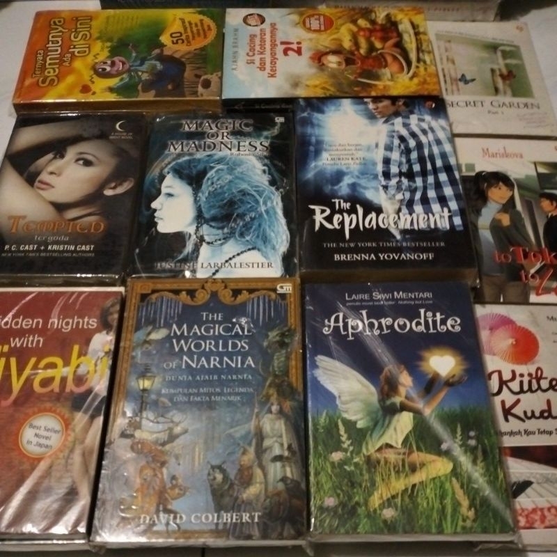 novel fantasi original