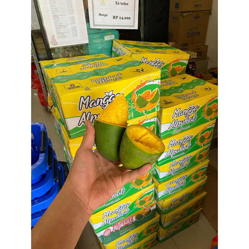 

mangga alpukat bangil 5 kg / 1 dus