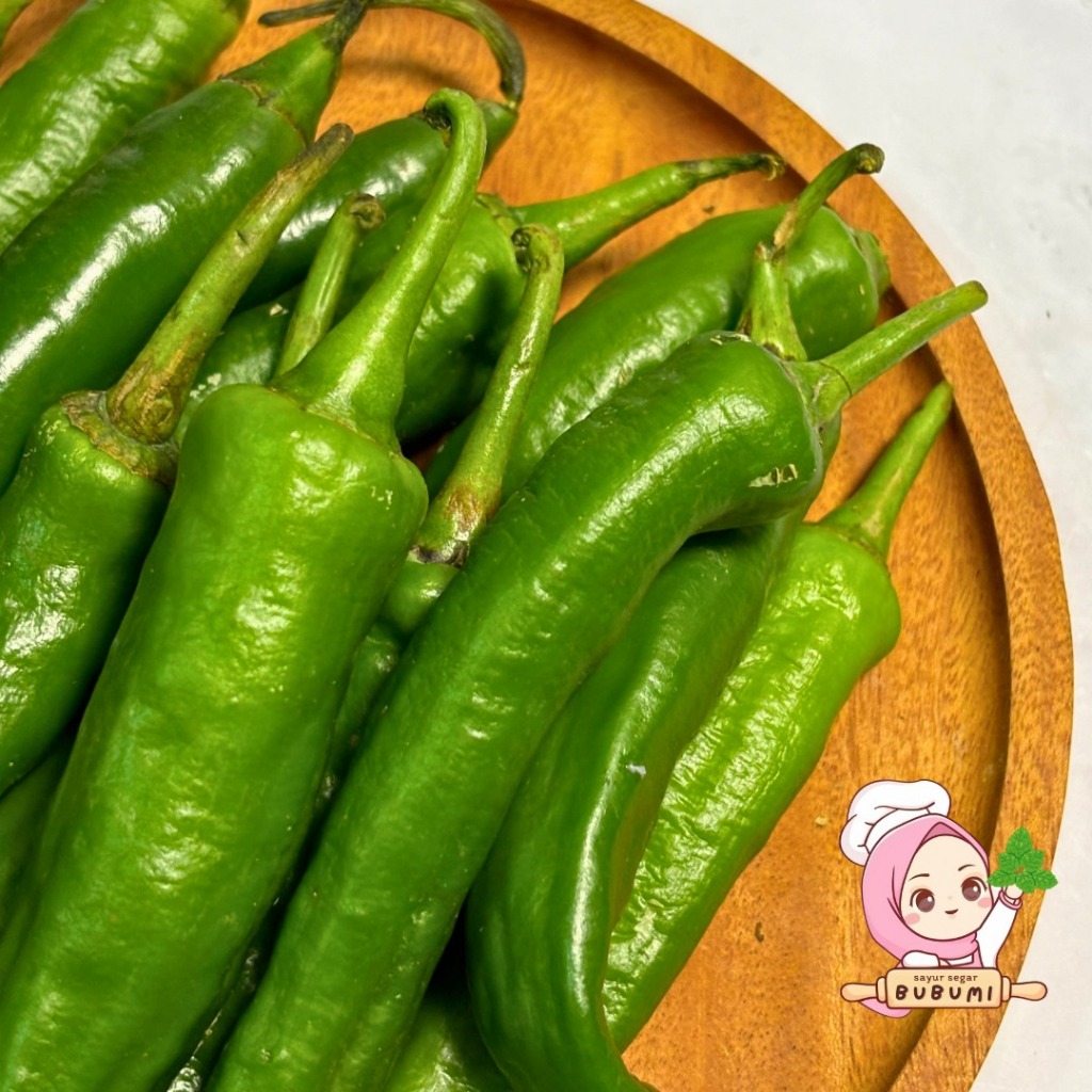

Cabe Hijau Besar Segar Cabai Tanjung Bandung