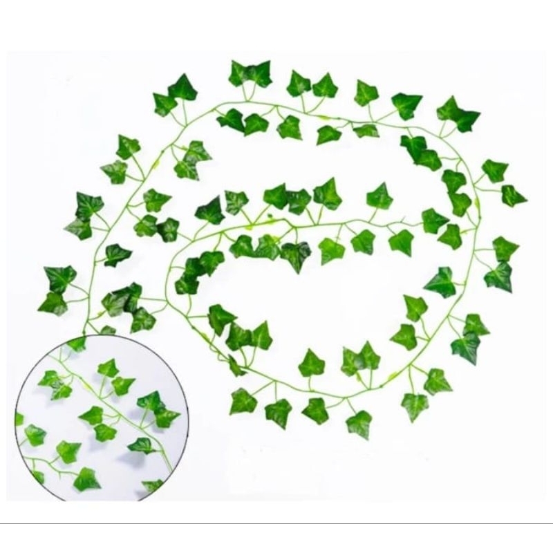 daun juntai daun rambat sulur kecil