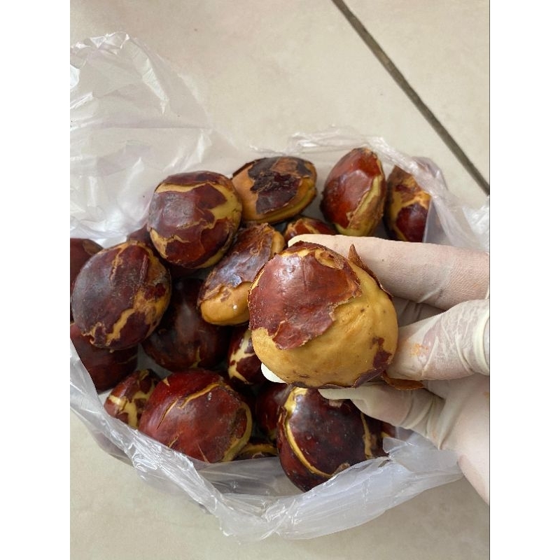 

Jengkol Tua Mantappp