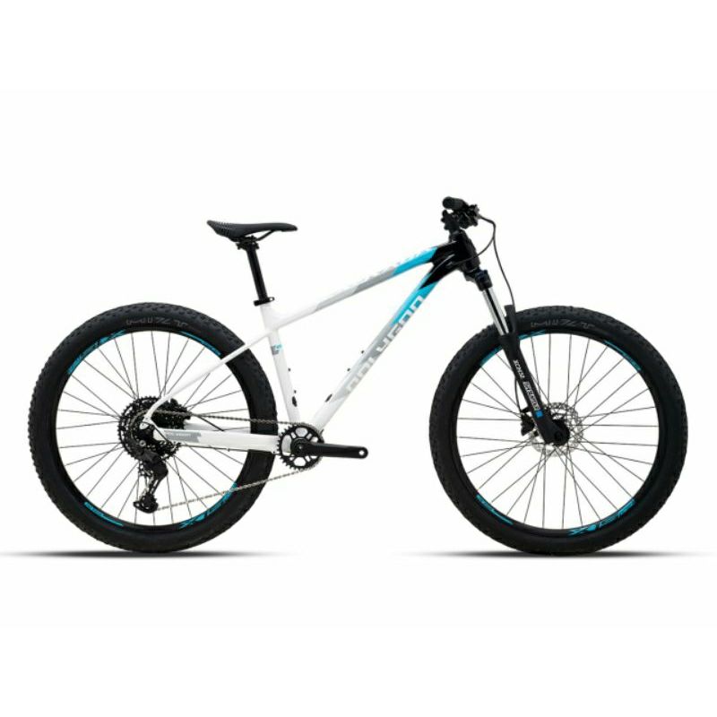 Sepeda Polygon Xtrada 5 Terbaru sepeda MTB