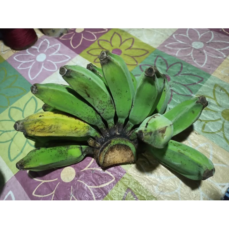 

pisang kepok 1,3kg