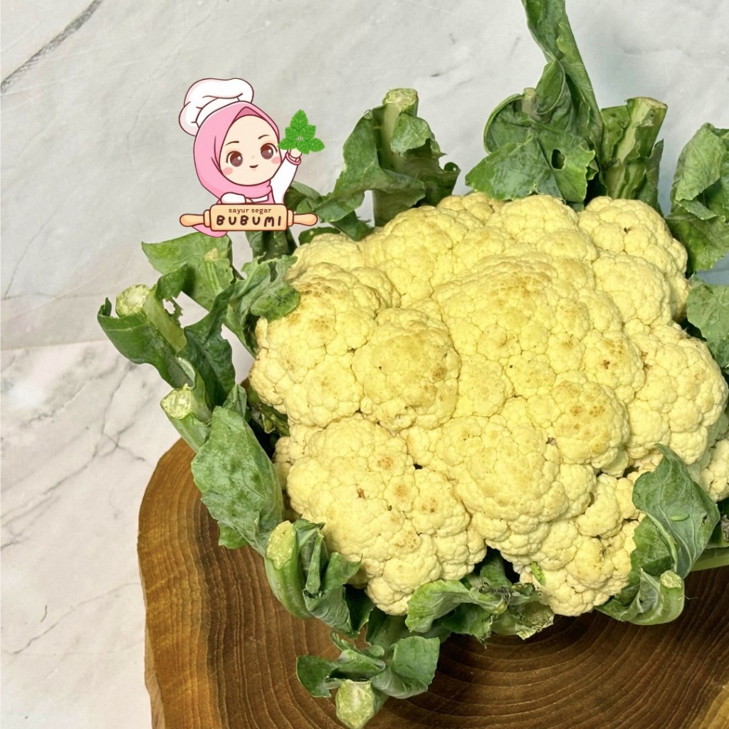 

Kembang Kol/Bunga Kol Segar 500 gr