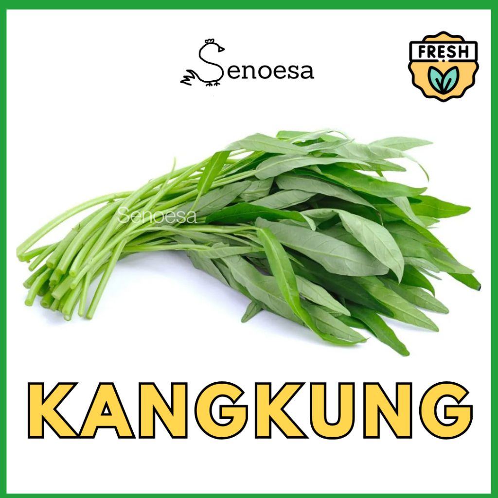 

[FRESH INSTAN] Kangkung Segar 1 Ikat