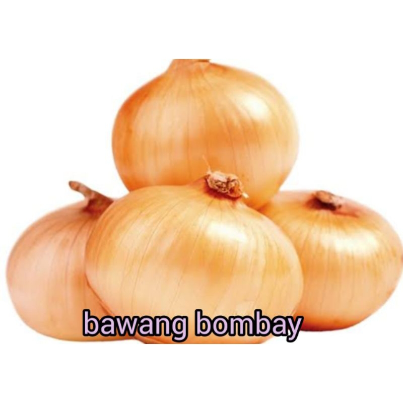 

BAWANG BOMBAY SUPER RP 22.000 / 1 KG