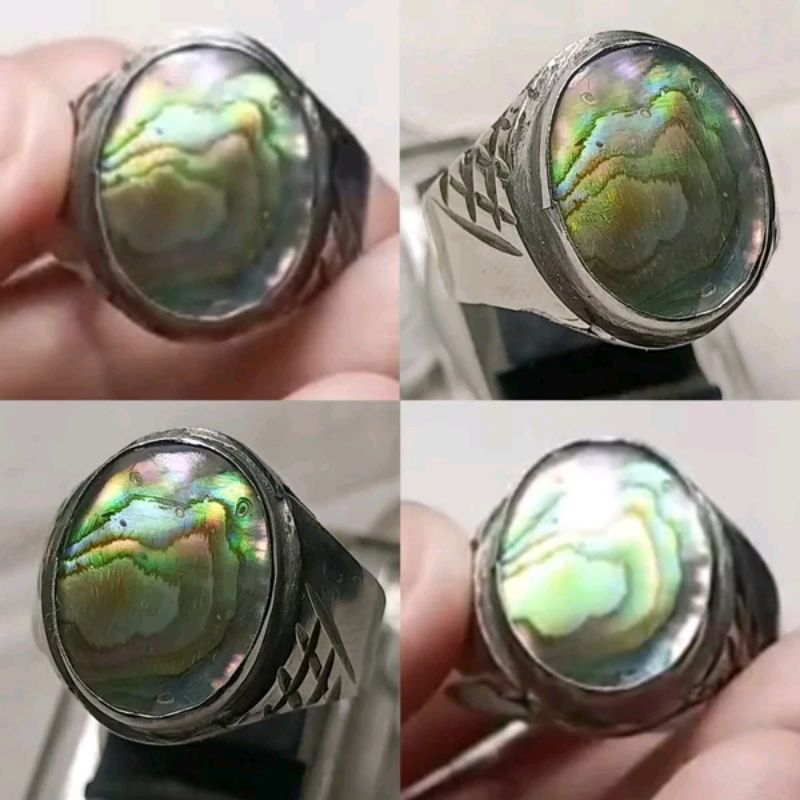 Natural Abalone Shell Fo55il - Fo5il Cangkang Kerang Abalon Luster Pelangi  - No Treatment