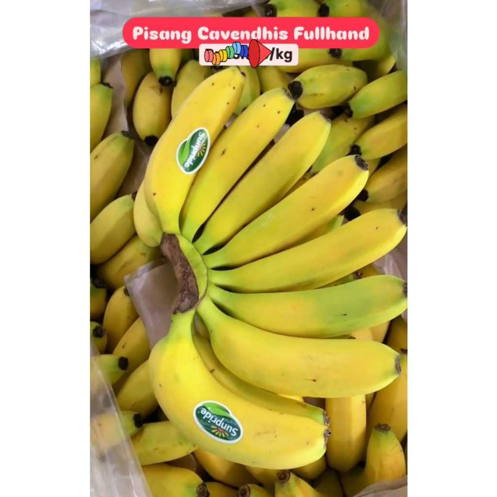 

Buah Pisang Cavendish Full Hand (2-3kg), Same Day Delivery Jogja