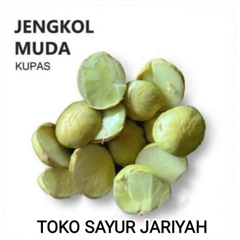 

JENGKOLMUDA/JENGKOLLALAP