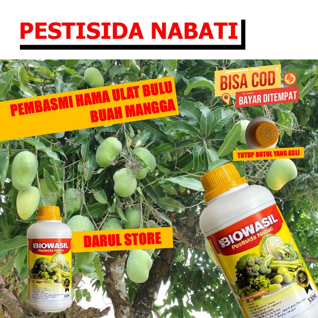 PROMO Pupuk Pelengkap Tanaman Buah Mangga Anti Hama BIOWASIL Obat Semprot Pembasmi Hama Ulat Buah Ma