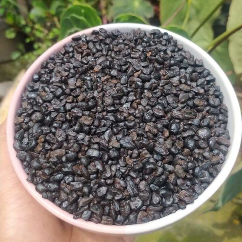 

1 Kg JAGUNG SANGRAI / JAGUNG OVEN / JAGUNG SANGRAI MATANG Untuk Campuran Bubuk Kopi / KOPI BUBUK EKONOMIS AMJ FARM