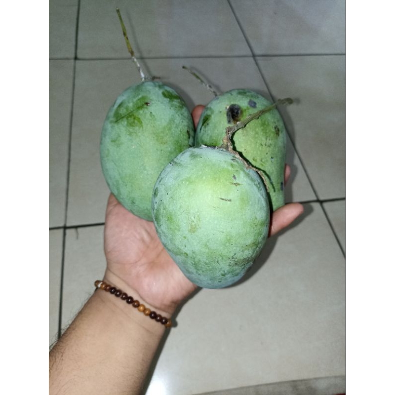 

Mangga harum manis 1kg mengkel + Bumbu geledeg orang karawang