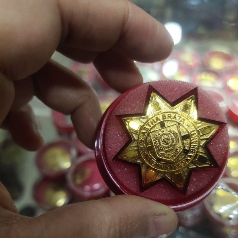 pin IPDN bros pin IPDN mika