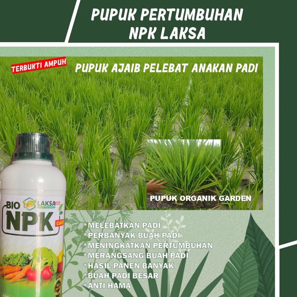 (BISA COD) OBAT PELEBAT ANAKAN PADI PUPUK BIO NPK LAKSA UNTUK PADI  - Pupuk Cair Pelebat Anakan Padi