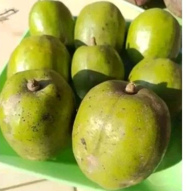

buah kedondong dondong 1 kg