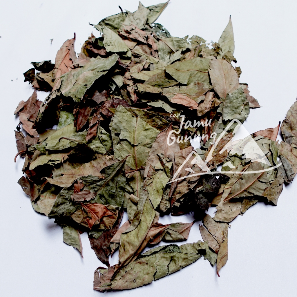 

Daun Salam Kering 500gr Asli Murah