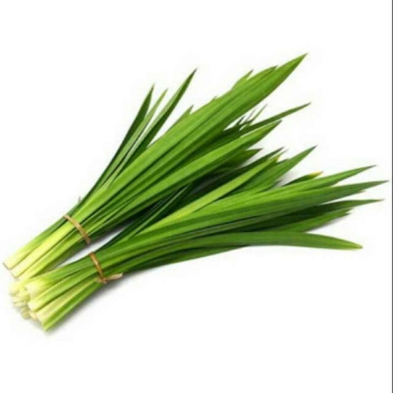 

daun pandan per ikat