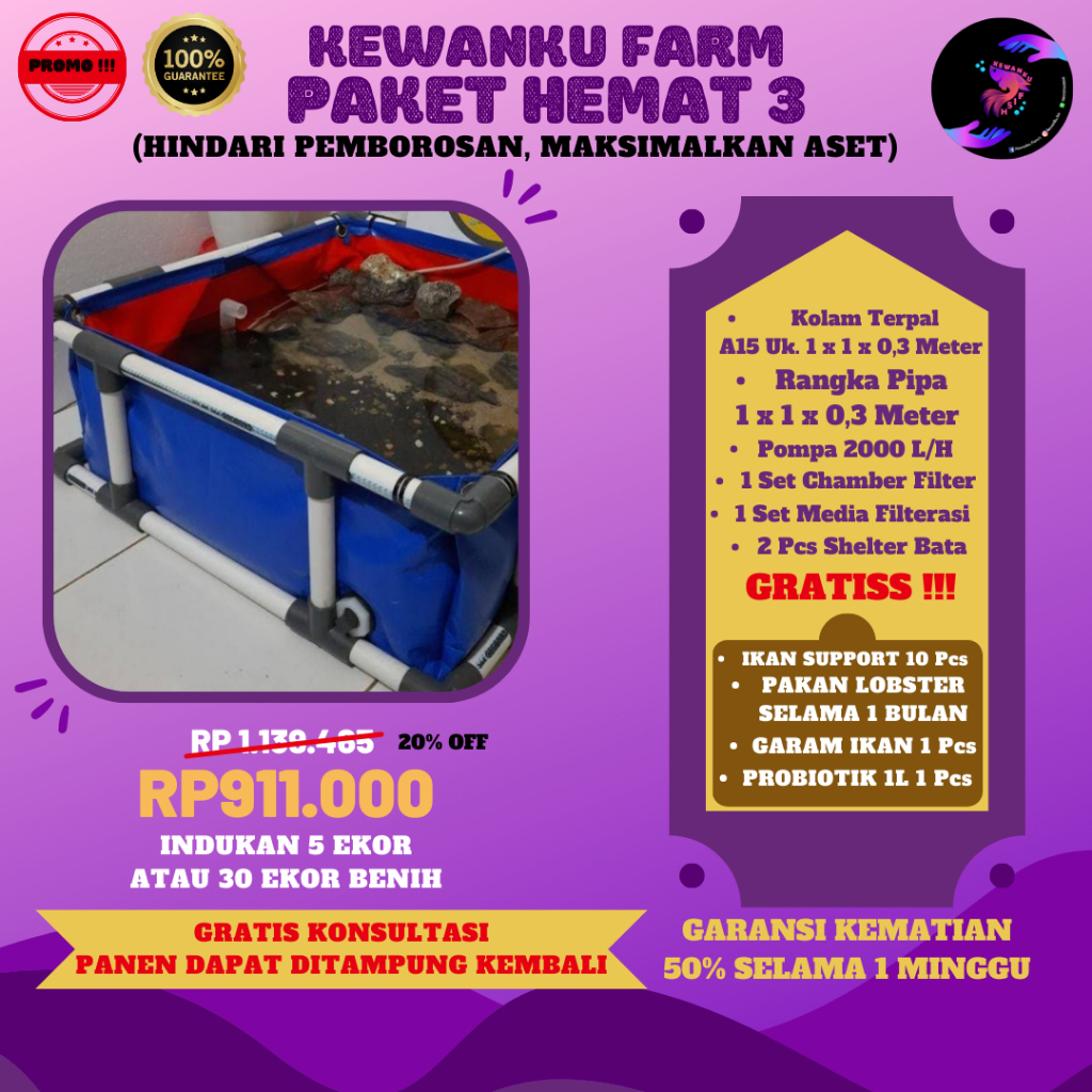 

Paket Kemitraan Lobster Air Tawar Red Claw Konsumsi Hemat 3