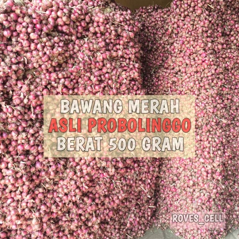 

BAWANG MERAH PROBOLINGGO UKURAN SEDANG 500 GRAM