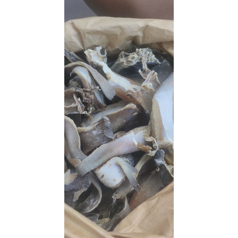 

Ikan Asin | Pari Kualitas Super