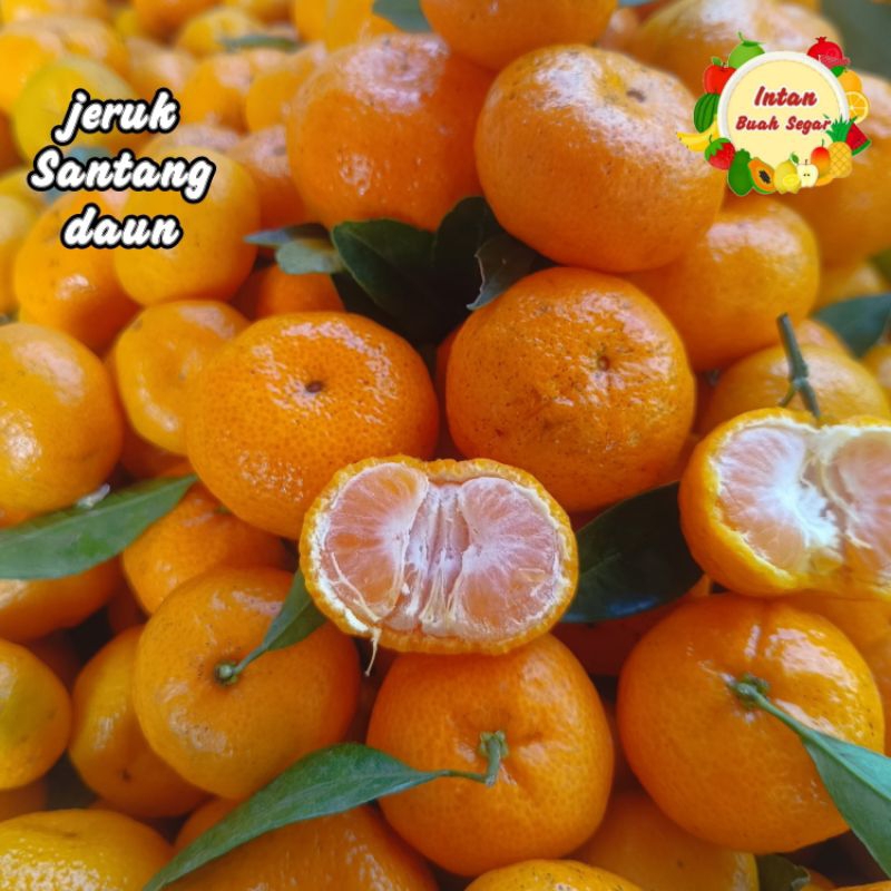 

JERUK SANTANG MADU DAUN 500GR MANIS FRESH SEGAR / JERUK KUNING KECIL / JERUK KUNING MANIS / JERUK SHANTANG DAUN