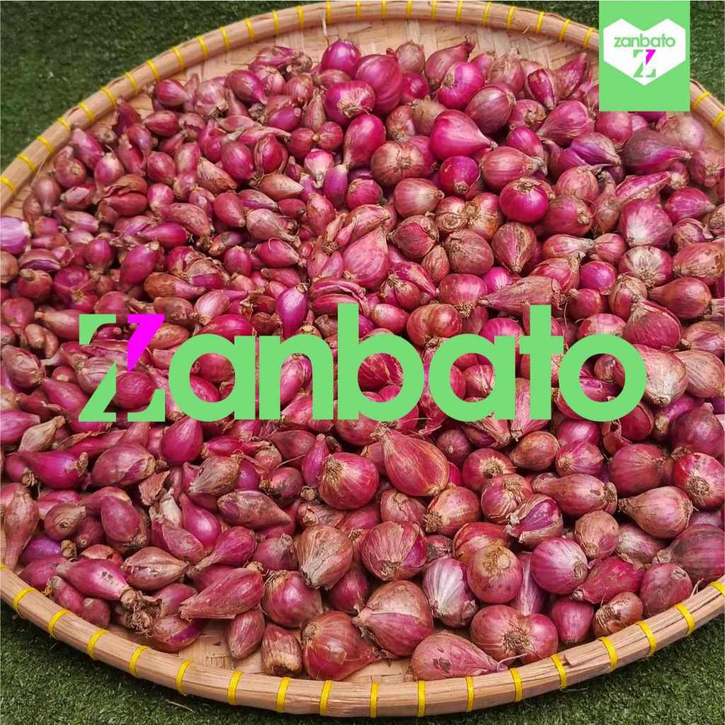 

Bawang Mearah Murah Sedang