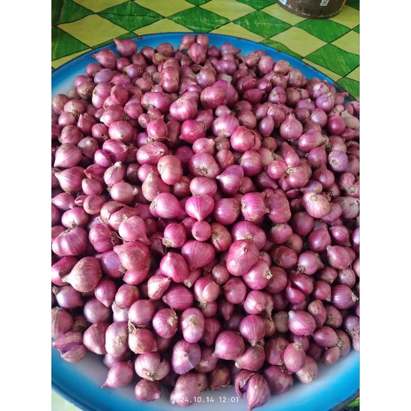 

Bawang merah tanggung kasar 1/2kg