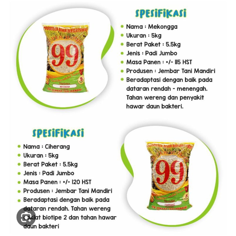 

benih padi 99 jumbo