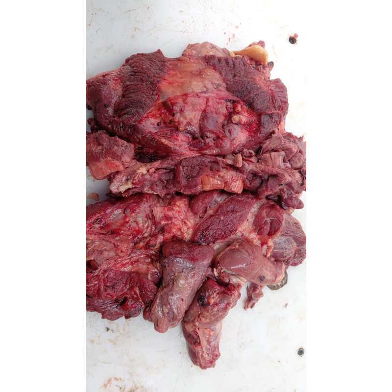 Daging tetelan sapi 500gr lokal rawonan sotoan