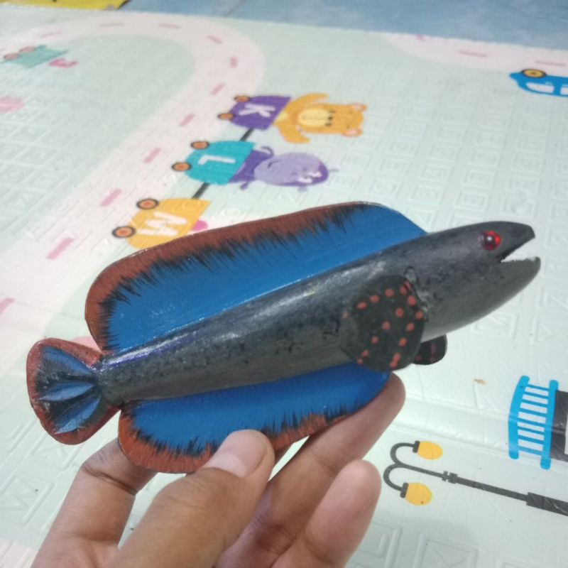 PATUNG (aslinya channa) limbata betina