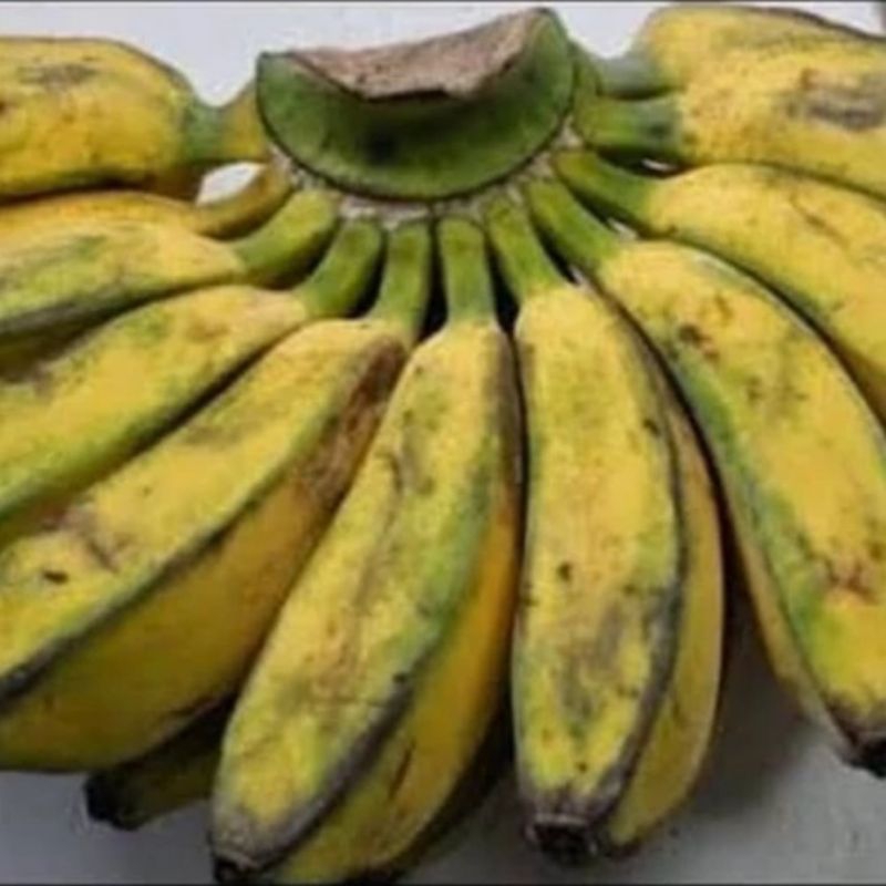 

pisang kepok matang 1 sisir/ pisang kepok segar/ pisang kepok manis