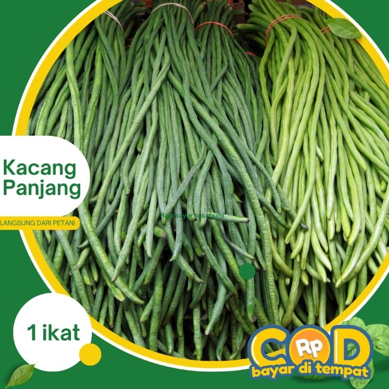 

Kacang panjang 250gr