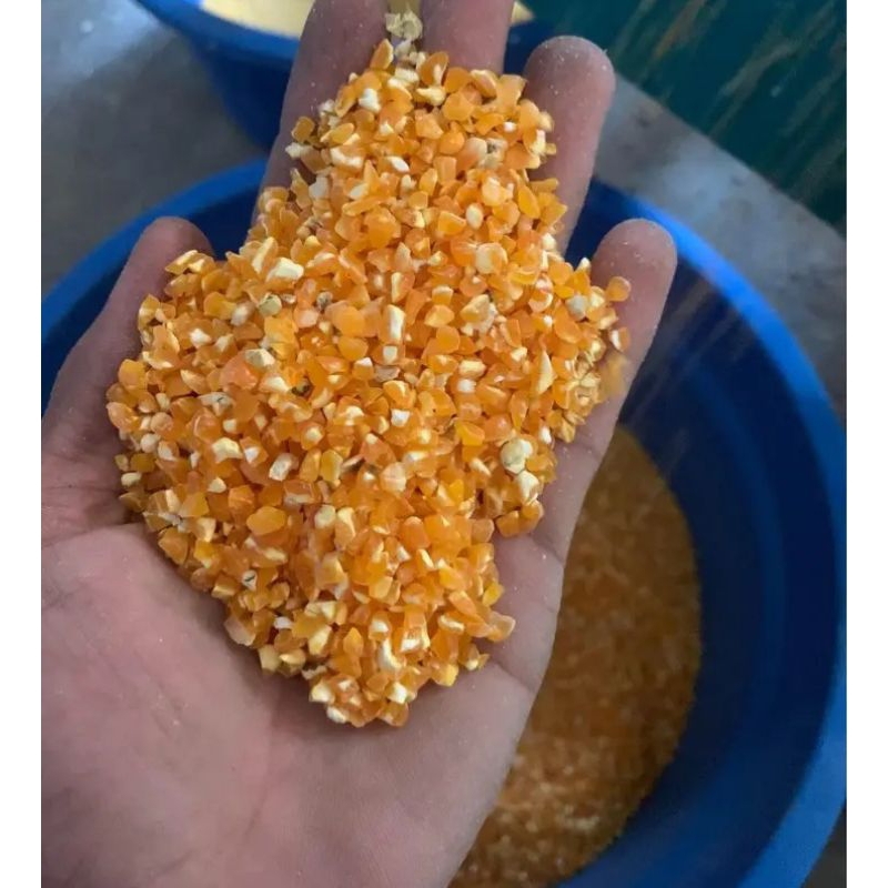 

beras jagung 500 gr bagus