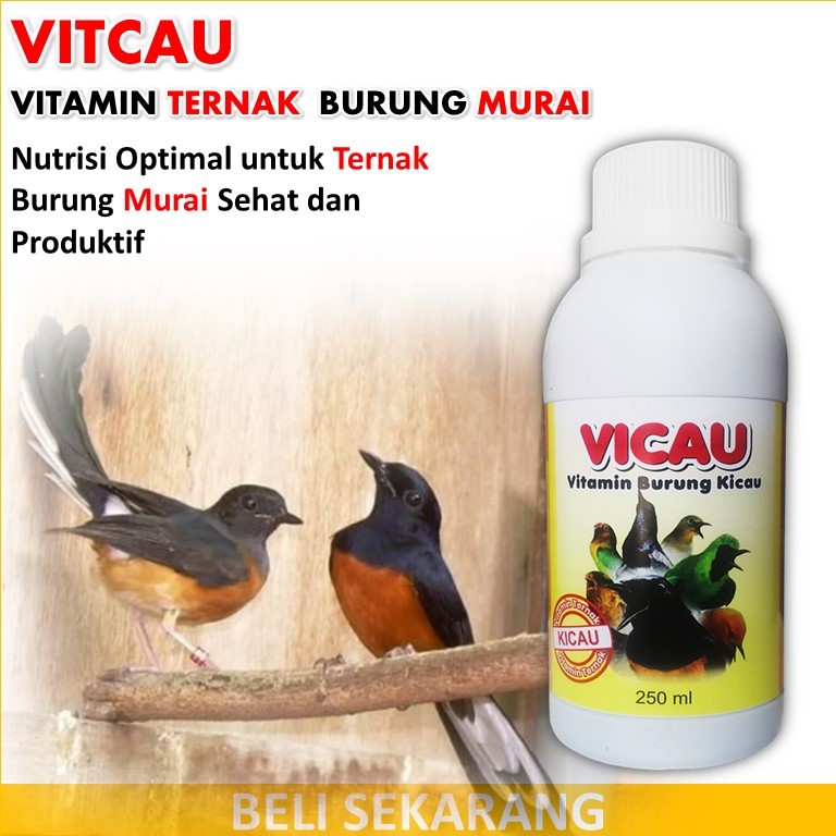 VITCAU / vitamin ternak burung murai batu / vitamin buat ternak burung murai batu / vitamin ternak b