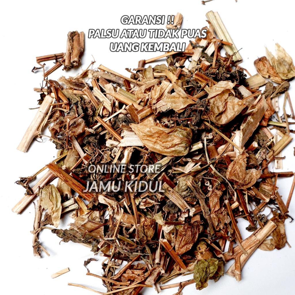 

Daun Ciplukan kering 500gr Cecendet Bersih