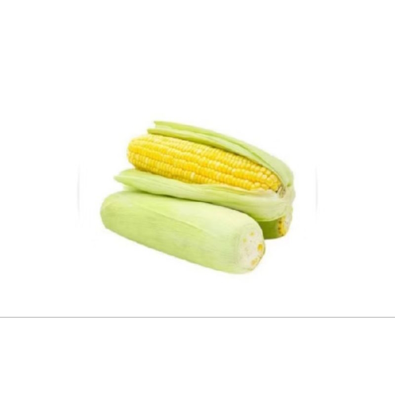 

Jagung Manis 1 paket 500gram